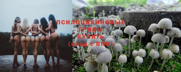 гидра Осинники